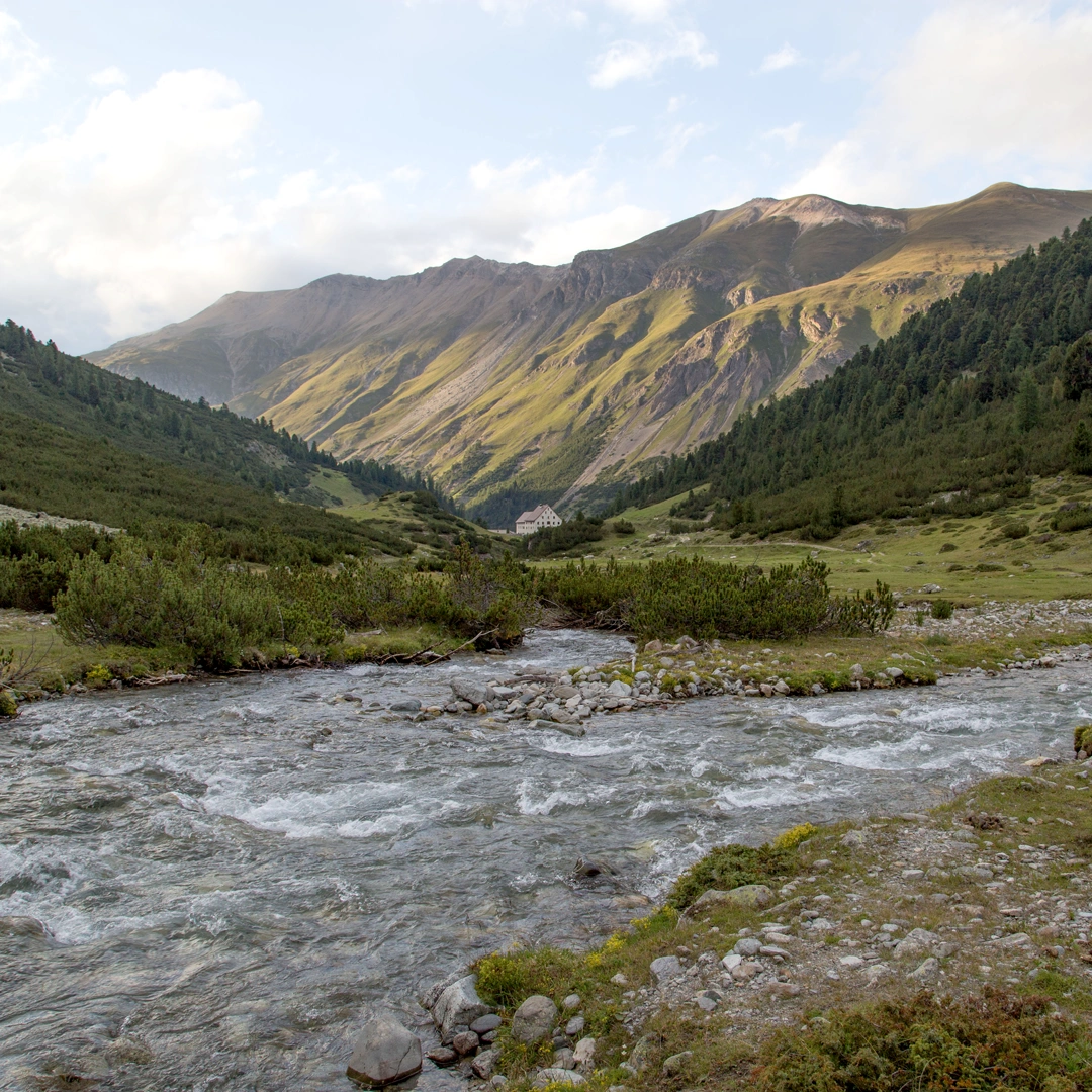 WWF Gewässerperle PLUS, Bild Fluss