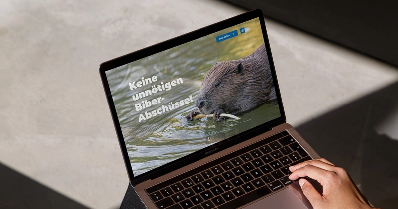 Ein Laptop, auf dem die Online-Petition geöffnet ist.