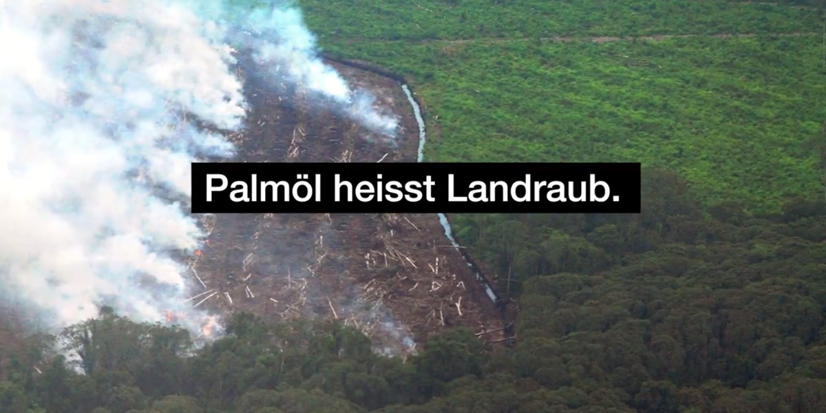 Onlinekampagne «Palmol heisst Landraub» für die Kundschaft Brot für alle