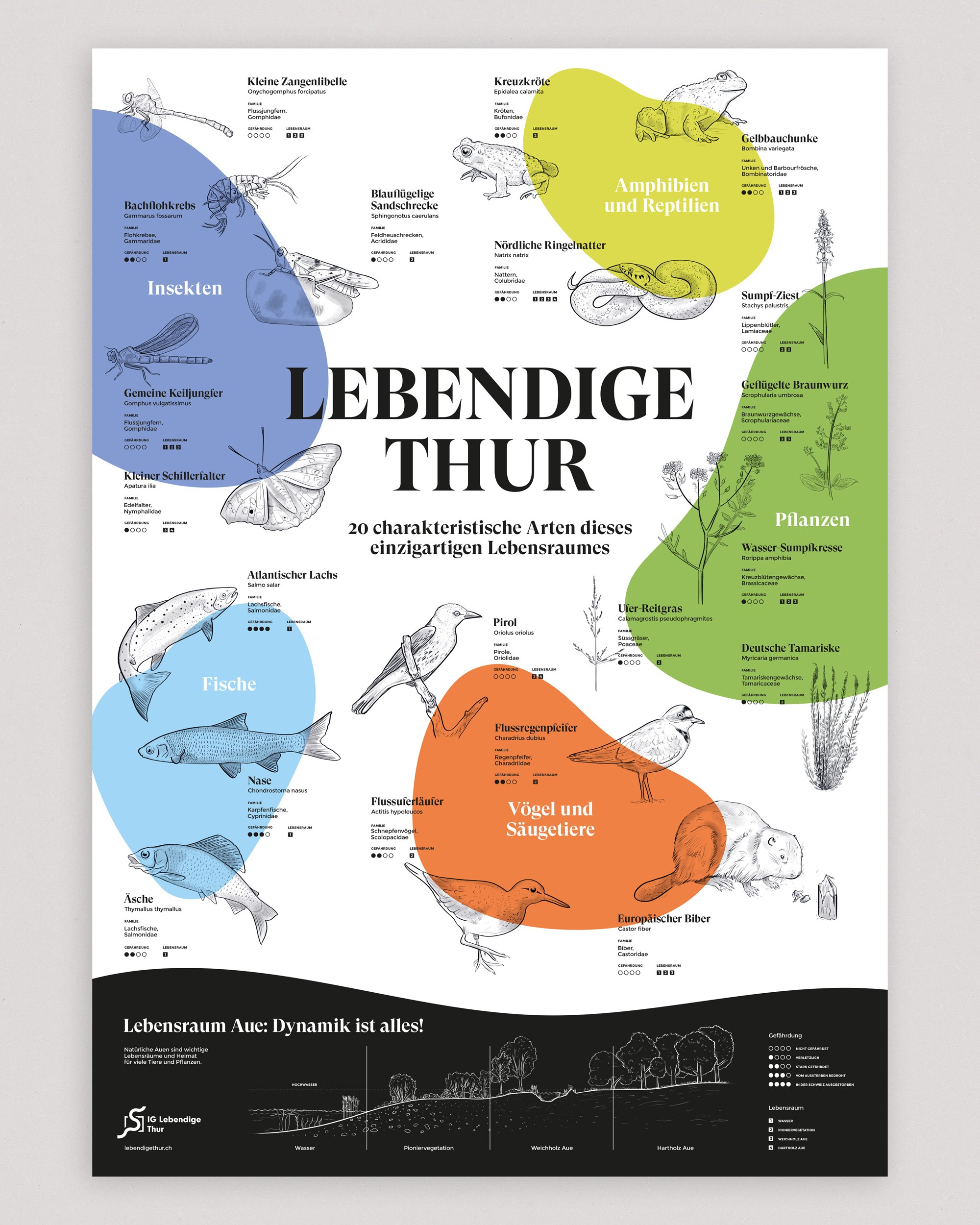 Poster «Thuratlas» für die Kundschaft IG Lebendige Thur