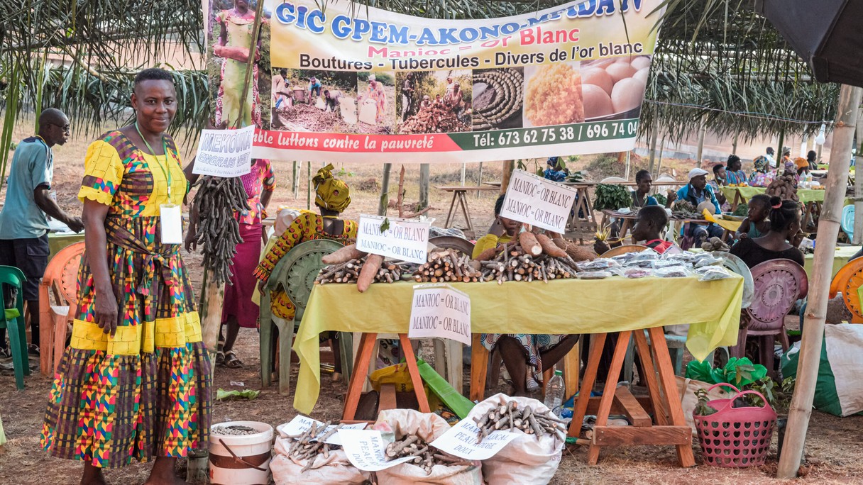 Eine Bäuerin präsentiert Maniok an der Saatgutmesse von Esse. Die nährstoffreiche Wurzel wird in Westafrika auch «Weisses Gold» genannt.
