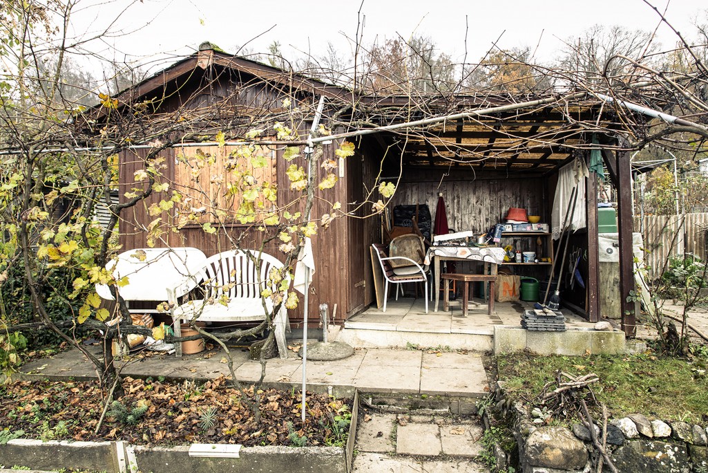 Wintertag im Schrebergarten Käferberg