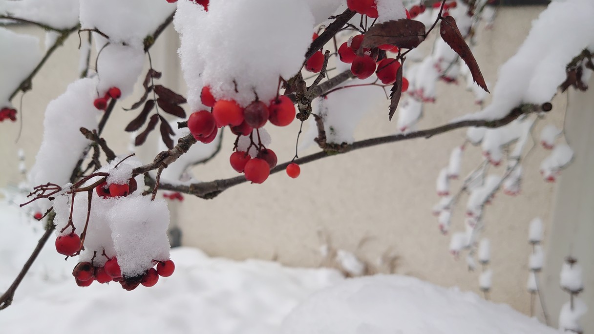 Singen im Winter