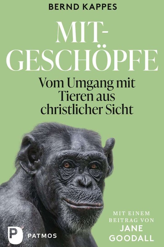 Buchtipp