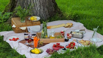 Picknick auf Wiese