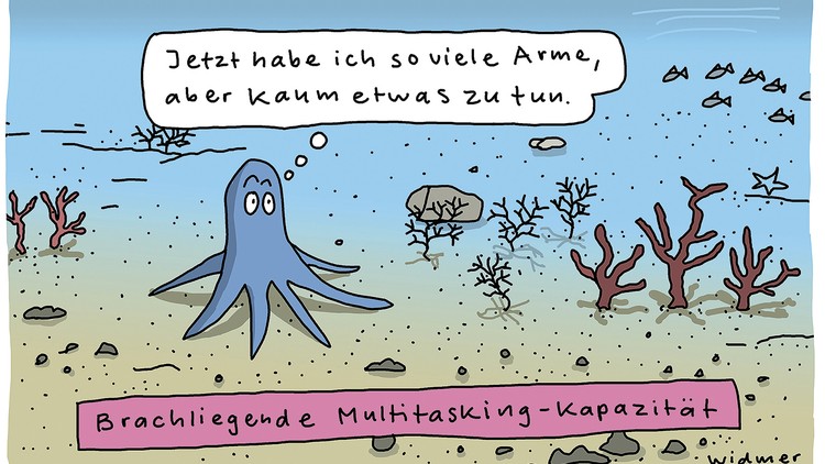 Cartoon zur Frage «Können wir Multitasking»: Ein Tintenfisch mit vielen Armen sagt: Jetzt habe ich so viele Arme, aber kaum etwas zu tun.