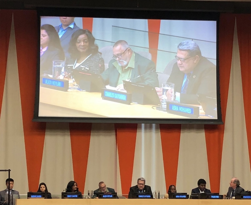 photo d’Alain Meylan aux Nations Unies
