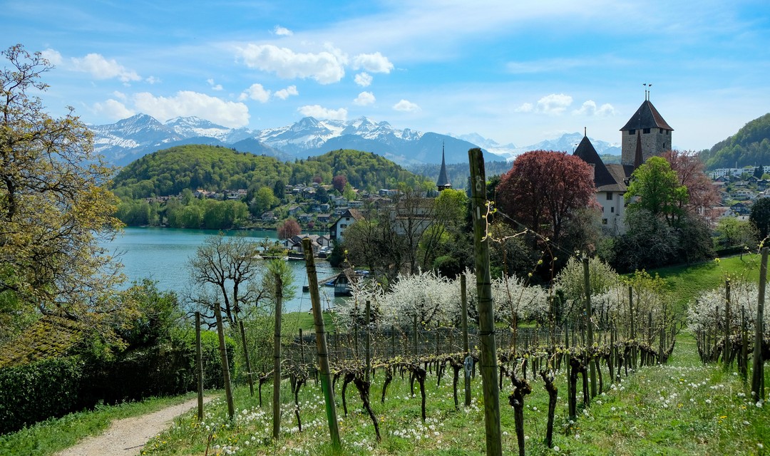 Bild von Anmeldung zur Generalversammlung vom 3. Mai 2024 in Spiez