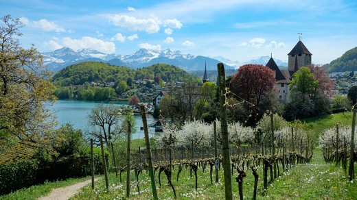 Bild von Generalversammlung vom 3. Mai 2024 in Spiez
