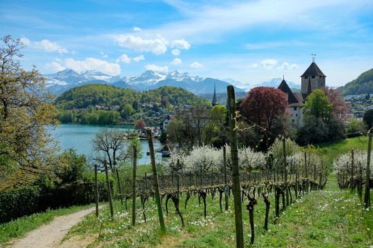 Bild von Unterlagen zur 99. ordentlichen Generalversammlung 2024