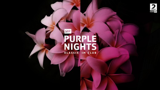 Bild von «SRF Purple Nights»