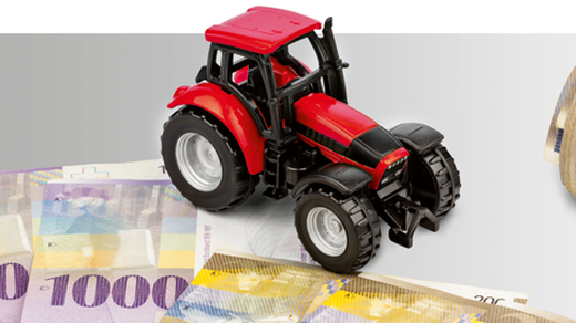 Bild von Werden die Schweizer Bauern immer reicher?