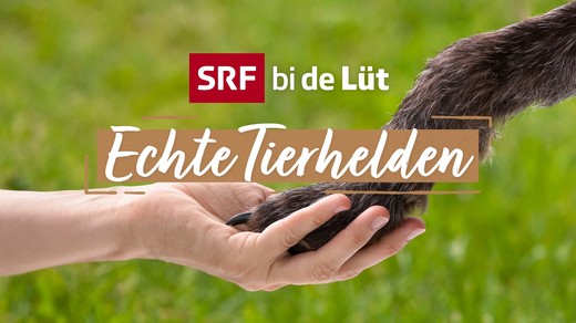 Bild von Beurteilung «Echte Tierhelden»
