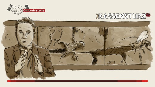 Bild von «Kassensturz»: Ausgewogener Trockenmauer-Bericht