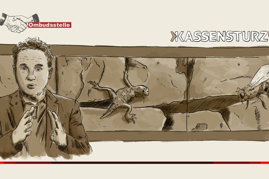 Bild von «Kassensturz»: Ausgewogener Trockenmauer-Bericht