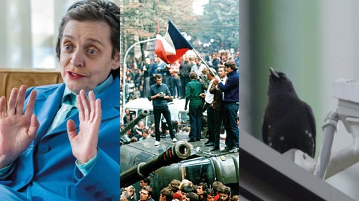 Bild von SRG-Programmtipps der Woche: Krähen, Glück und Schwarzgeld