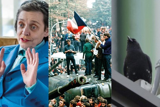 Bild von SRG-Programmtipps der Woche: Krähen, Glück und Schwarzgeld