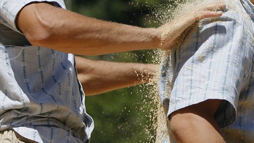 Bild von Zwischen Wissenschaft und Tradition