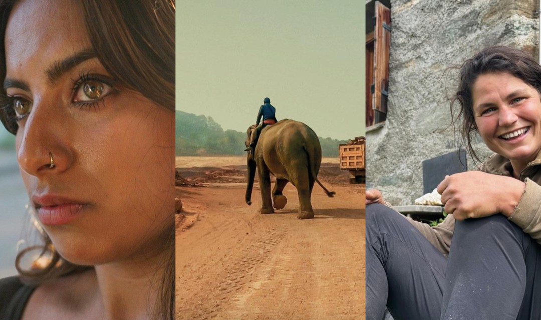 Bild von SRG-Programmtipps der Woche: Auffahrt und Elefanten