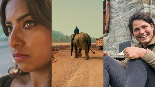 Bild von SRG-Programmtipps der Woche: Auffahrt und Elefanten