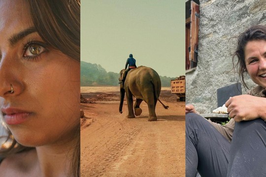 Bild von SRG-Programmtipps der Woche: Auffahrt und Elefanten