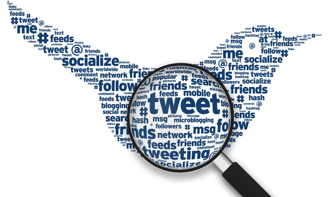 Symbolbild von Twitter-Vogel und einer Lupe