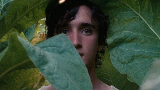 Bild von Die SRG SSR an den Filmfestspielen in Cannes