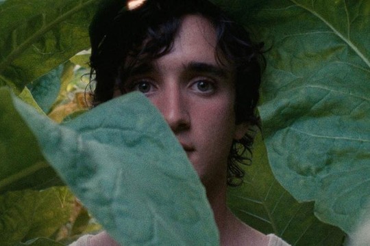 Bild von Die SRG SSR an den Filmfestspielen in Cannes