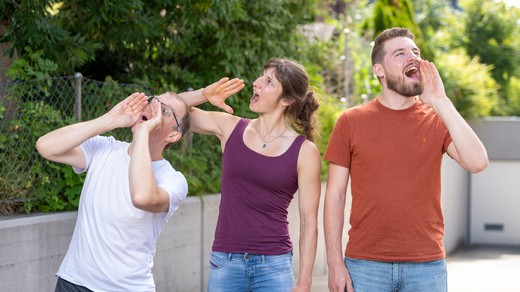 Bild von Mundart, Missverständnisse und Mythen