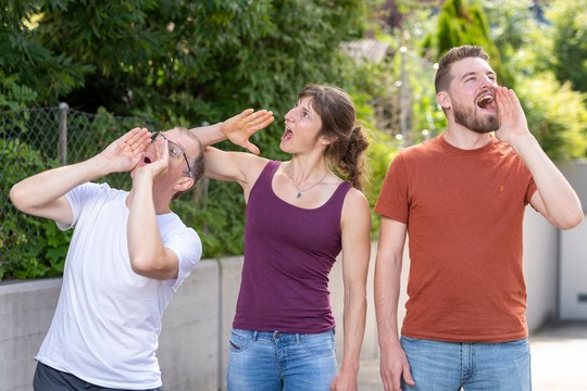 Bild von Mundart, Missverständnisse und Mythen