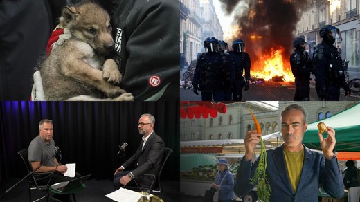 Bild von SRG-Programmtipps: Krawalle in Frankreich und Organspende
