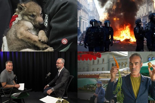 Bild von SRG-Programmtipps: Krawalle in Frankreich und Organspende