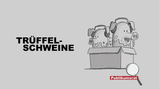 Bild von Im Fokus des Publikumsrats: «Trüffelschweine»