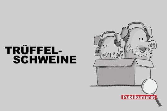 Bild von Im Fokus des Publikumsrats: «Trüffelschweine»