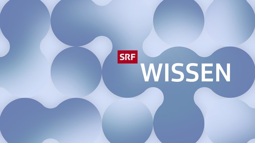 Bild von «SRF Wissen»: Zwei neue Hubs für alle Wissbegierigen