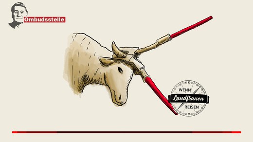 Bild von Ombudsmann stützt Beanstandungen zu den «Landfrauen» in Texas