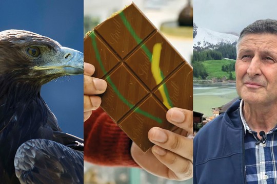 Bild von SRG-Programmtipps der Woche: Steinadler und Beat Jans