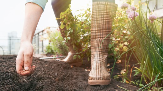 Bild von Jeder Quadratmeter  zählt 