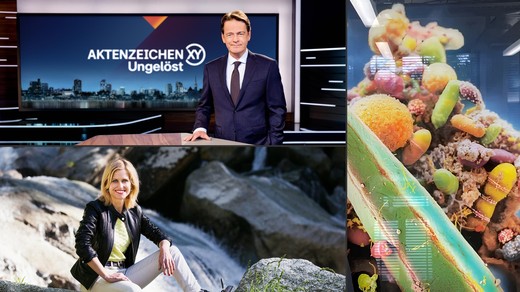 Bild von SRG-Programmtipps: Mensch und Misstände