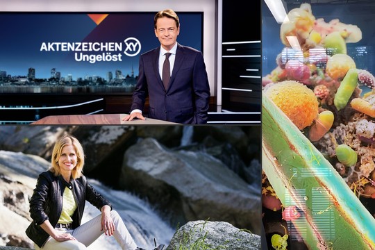 Bild von SRG-Programmtipps: Mensch und Misstände