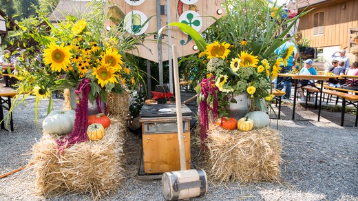 Bild von Donnschtigs-Jass in Dinhard