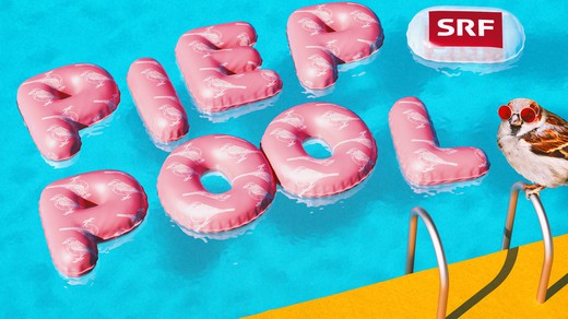 Bild von «Piep Pool»: Eine Vogelbadi im Livestream