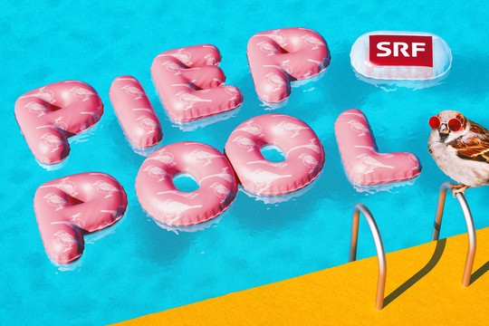 Bild von «Piep Pool»: Eine Vogelbadi im Livestream