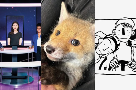 Bild von SRG-Programmtipps der Woche: Roadtrip und Fuchsjagd