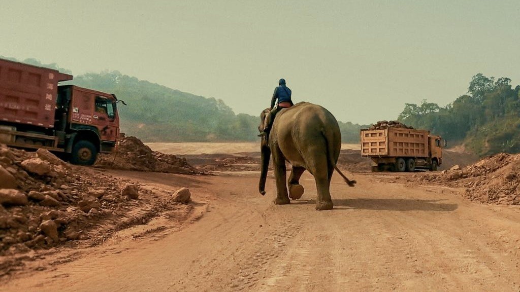 Elefant auf einer Baustelle mit Lastwagen, die an ihm vorbeifahren