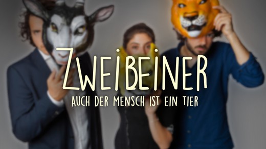 Bild von Tierisch gut: SRG SSR zeigt Web-Serie «Bipèdes – Zweibeiner – Bipedi – Bipeds» 