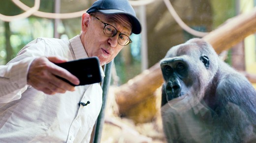 Bild von «Kulturplatz extra»: Promis an menschenleeren Ausstellungen