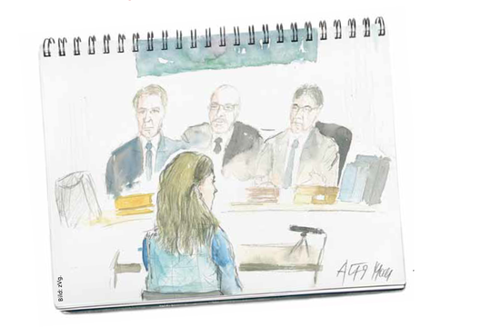 Bild von Vom «Jagen und Sammeln» der SRF-Gerichtsberichterstatter