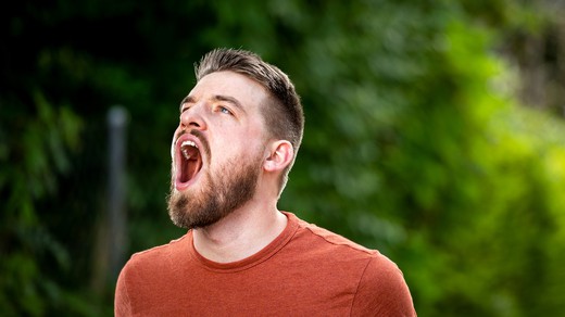 Bild von «Dieses Mundartwort gehört ganz fest zu mir»