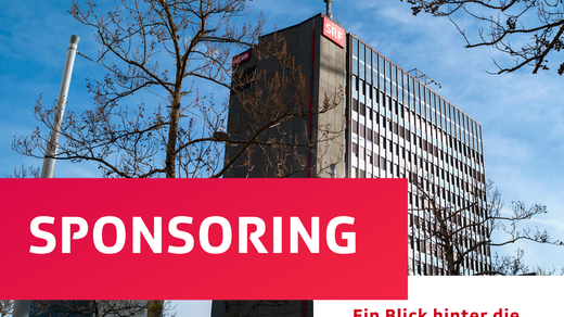 Bild von Sektion 3: Sponsoring 2.0 (Blick hinter die Kulissen des Sponsorings bei SRF)